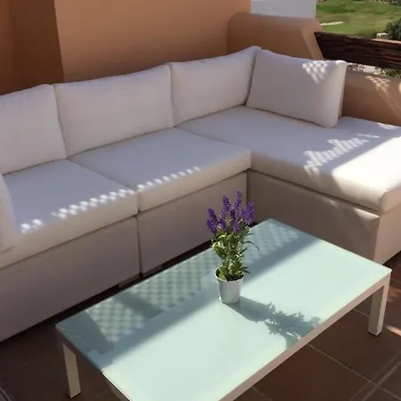 Splendid With Sea View *